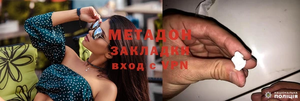 сатива Тайга