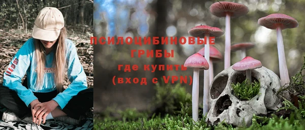 гидра Строитель