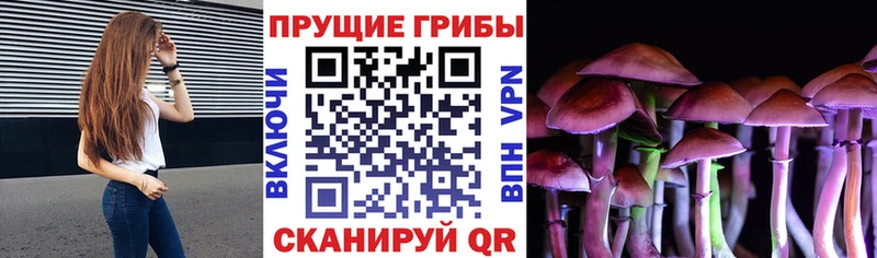 Купить  Истра  Галлюциногенные грибы мухоморы 